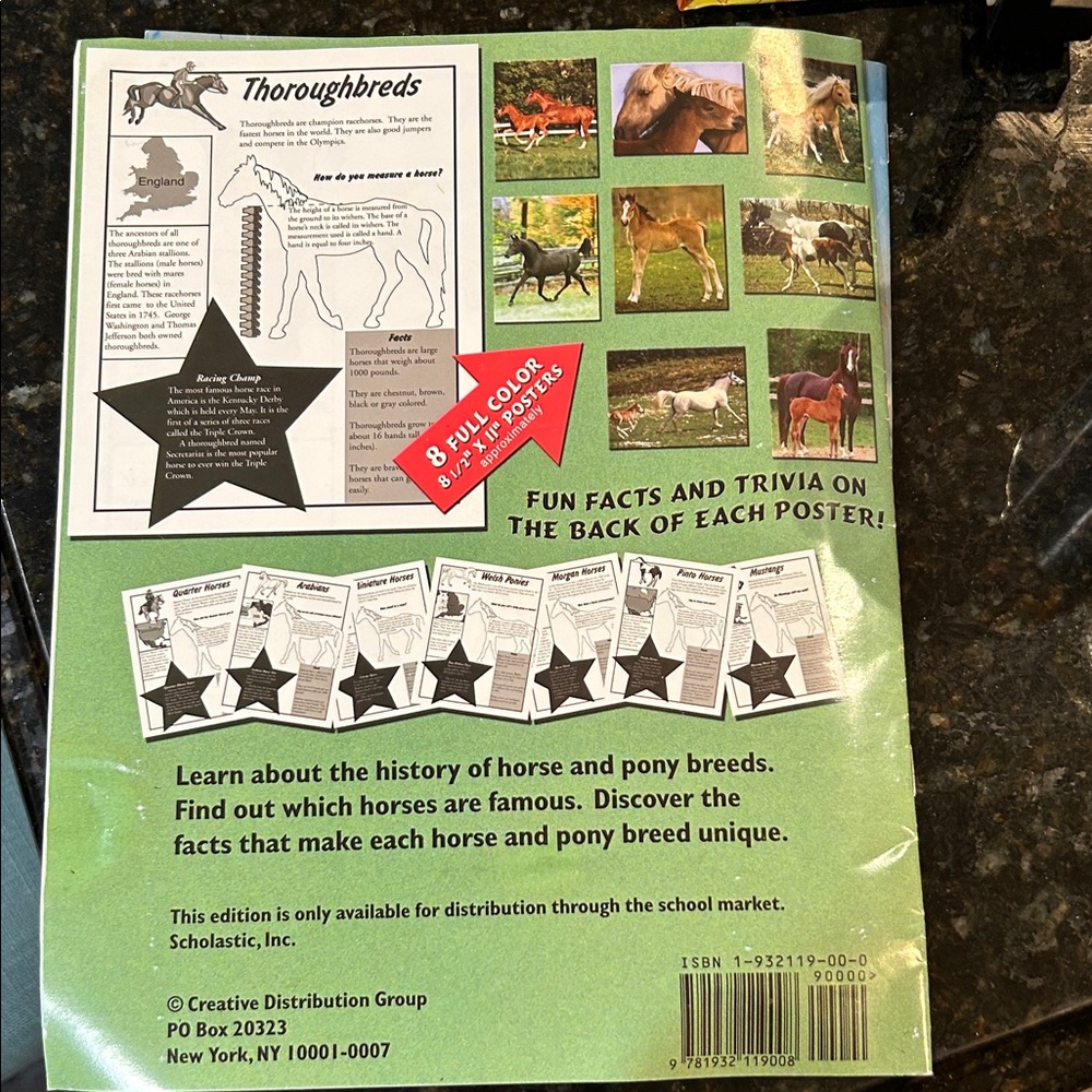Pony Book Set and Posters - Picture 4 of 6